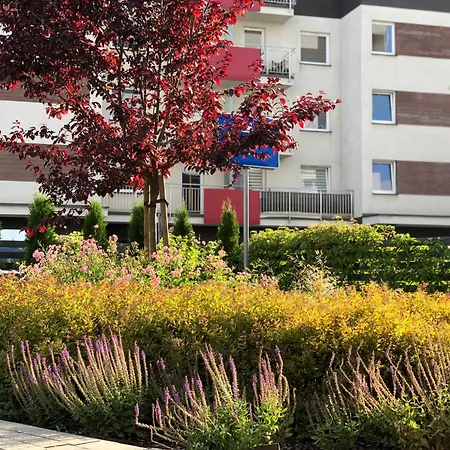 Apartament Patio Vita -Garaz Podziemny, Taras,Wejscie Klamka Kod,Centrum Kielce Exterior photo