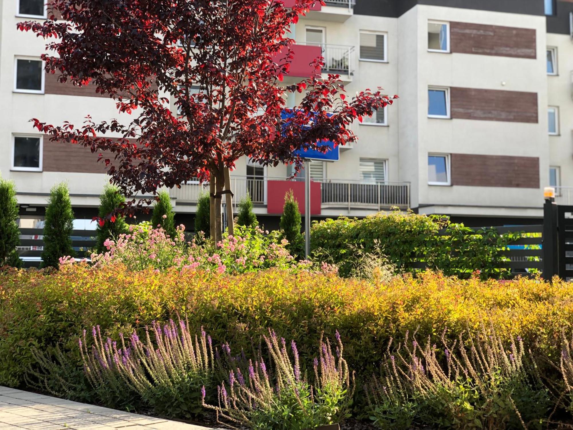 Patio -garaz Podziemny, Taras,wejscie Klamka Kod,centrum * Kielce
